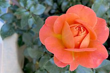 Naturnaher Urlaub im Bayerischen Wald